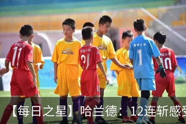 【每日之星】哈兰德：12连斩感受维京最强律动 金靴王座旁最冷酷的魔人挑战者
